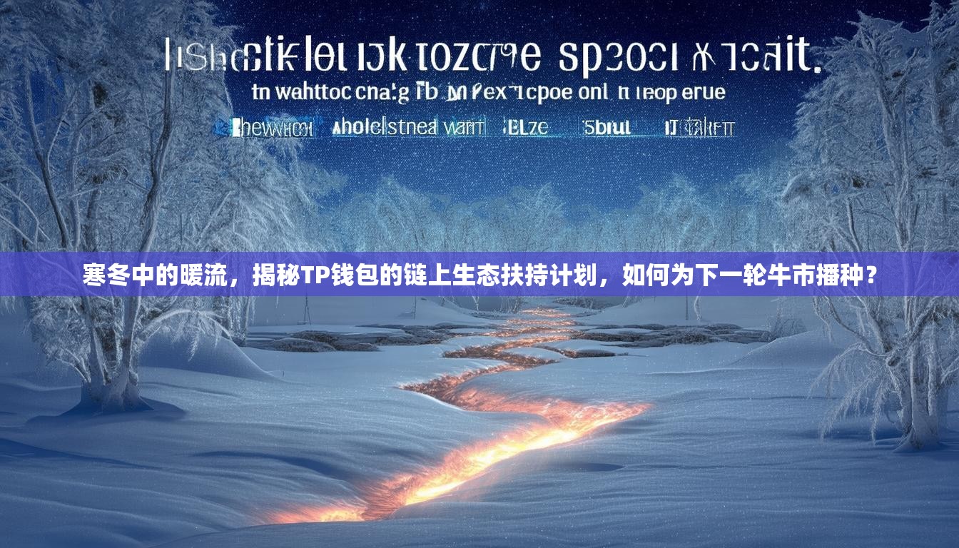 寒冬中的暖流，揭秘TP钱包的链上生态扶持计划，如何为下一轮牛市播种？