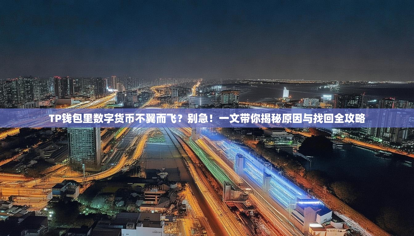 TP钱包里数字货币不翼而飞？别急！一文带你揭秘原因与找回全攻略